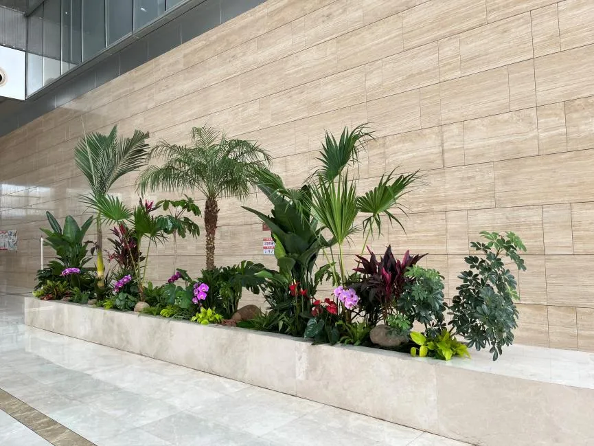 选择宁波前湾专业植物租摆，畅享绿意生活